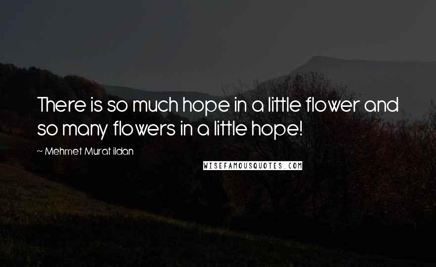 Mehmet Murat Ildan Quotes: There is so much hope in a little flower and so many flowers in a little hope!