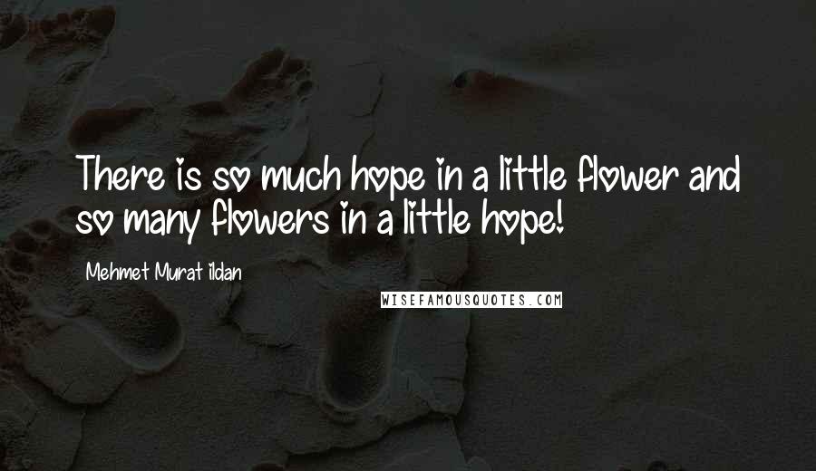 Mehmet Murat Ildan Quotes: There is so much hope in a little flower and so many flowers in a little hope!