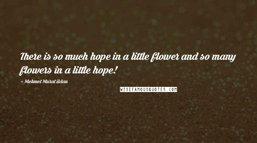 Mehmet Murat Ildan Quotes: There is so much hope in a little flower and so many flowers in a little hope!