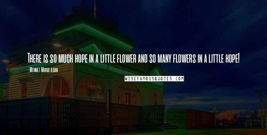 Mehmet Murat Ildan Quotes: There is so much hope in a little flower and so many flowers in a little hope!