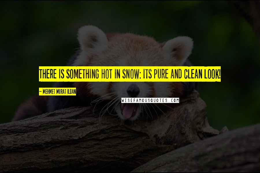 Mehmet Murat Ildan Quotes: There is something hot in snow: Its pure and clean look!