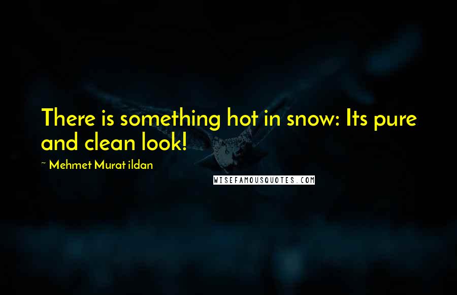 Mehmet Murat Ildan Quotes: There is something hot in snow: Its pure and clean look!