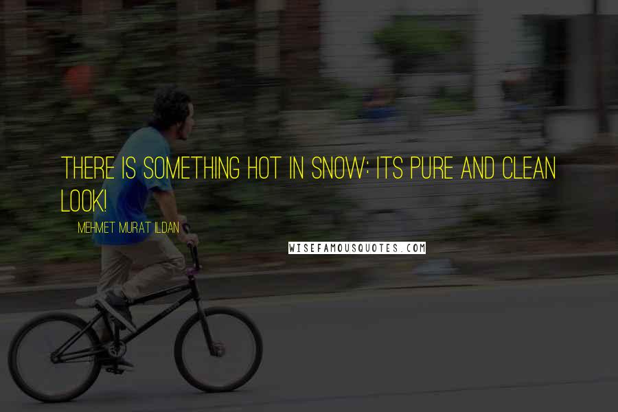 Mehmet Murat Ildan Quotes: There is something hot in snow: Its pure and clean look!