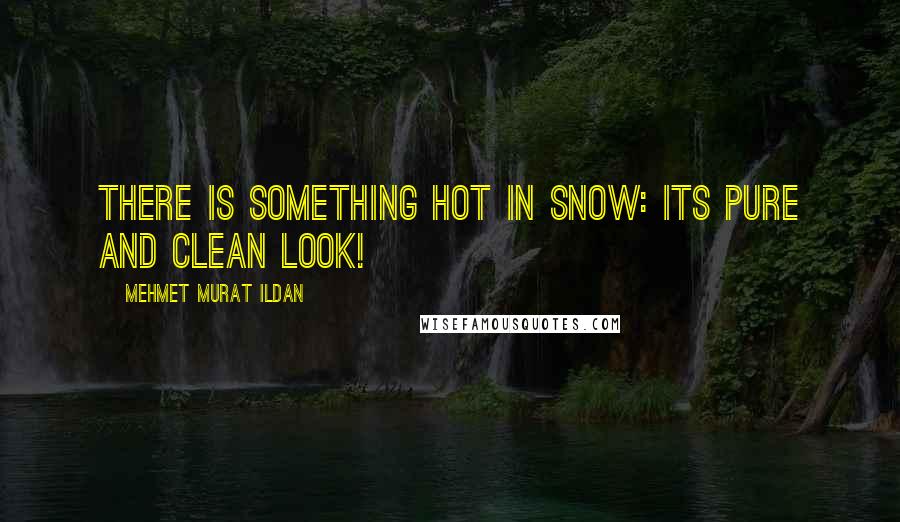 Mehmet Murat Ildan Quotes: There is something hot in snow: Its pure and clean look!