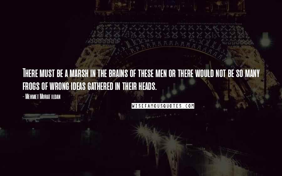 Mehmet Murat Ildan Quotes: There must be a marsh in the brains of these men or there would not be so many frogs of wrong ideas gathered in their heads.