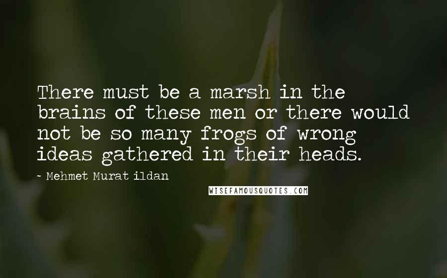 Mehmet Murat Ildan Quotes: There must be a marsh in the brains of these men or there would not be so many frogs of wrong ideas gathered in their heads.