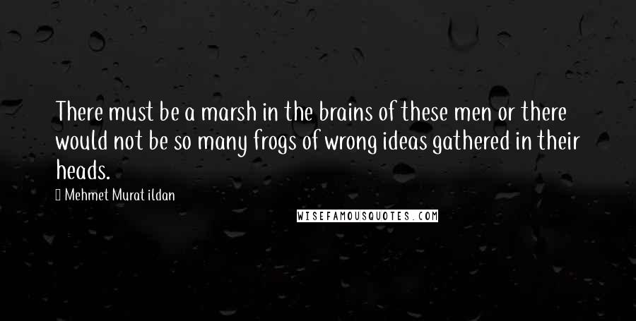 Mehmet Murat Ildan Quotes: There must be a marsh in the brains of these men or there would not be so many frogs of wrong ideas gathered in their heads.