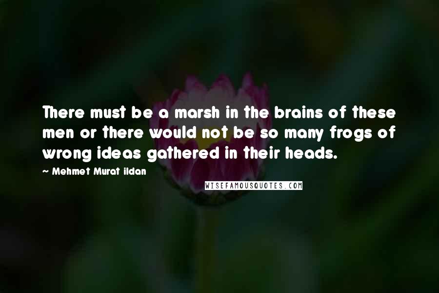 Mehmet Murat Ildan Quotes: There must be a marsh in the brains of these men or there would not be so many frogs of wrong ideas gathered in their heads.