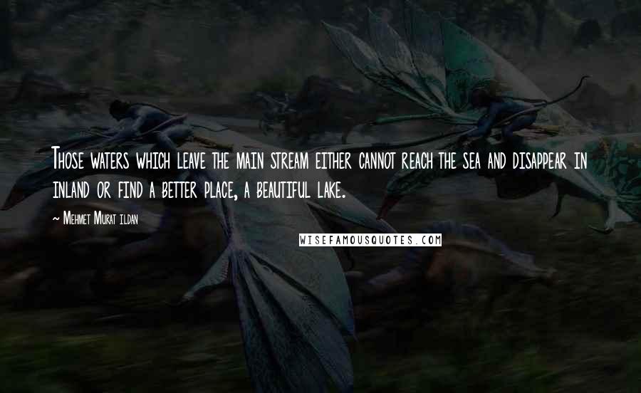 Mehmet Murat Ildan Quotes: Those waters which leave the main stream either cannot reach the sea and disappear in inland or find a better place, a beautiful lake.