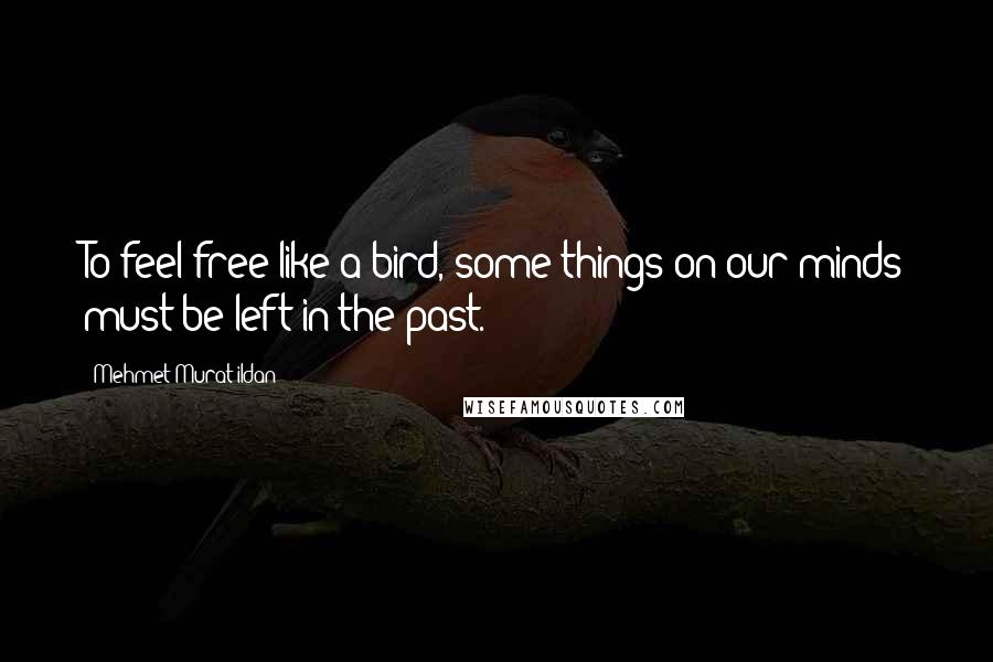 Mehmet Murat Ildan Quotes: To feel free like a bird, some things on our minds must be left in the past.