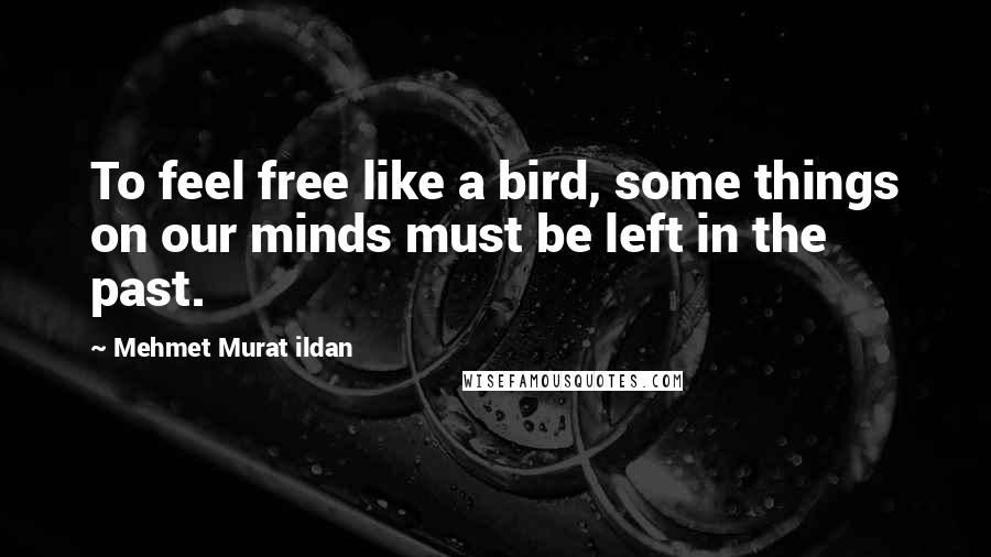 Mehmet Murat Ildan Quotes: To feel free like a bird, some things on our minds must be left in the past.