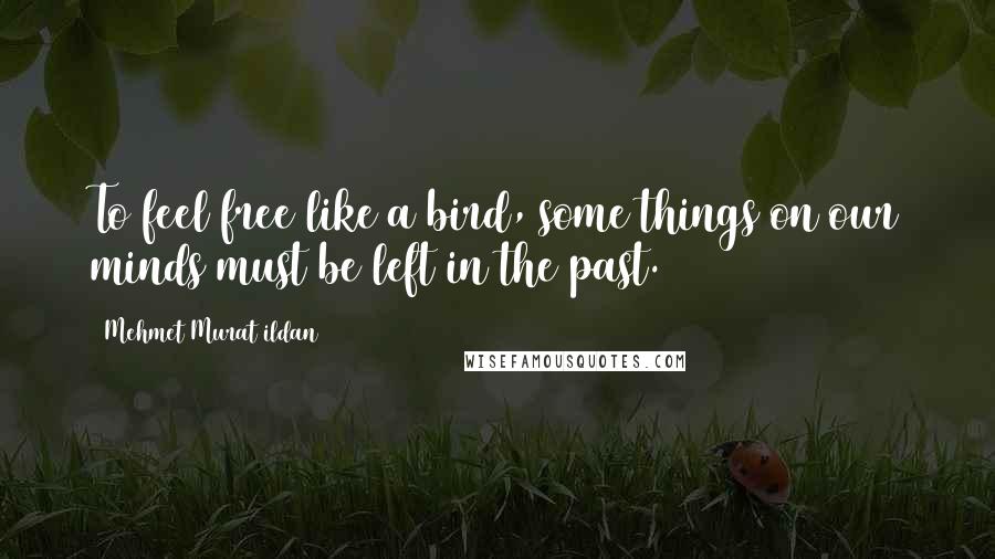 Mehmet Murat Ildan Quotes: To feel free like a bird, some things on our minds must be left in the past.