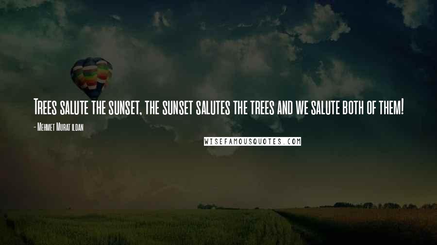 Mehmet Murat Ildan Quotes: Trees salute the sunset, the sunset salutes the trees and we salute both of them!