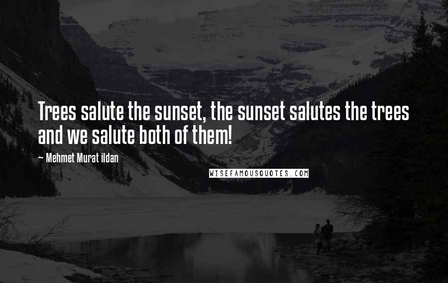 Mehmet Murat Ildan Quotes: Trees salute the sunset, the sunset salutes the trees and we salute both of them!