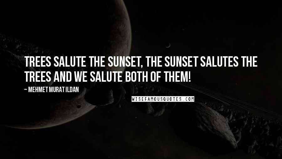 Mehmet Murat Ildan Quotes: Trees salute the sunset, the sunset salutes the trees and we salute both of them!