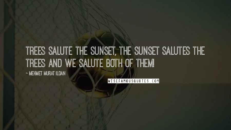 Mehmet Murat Ildan Quotes: Trees salute the sunset, the sunset salutes the trees and we salute both of them!