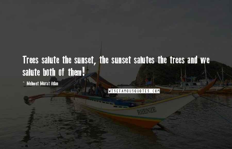 Mehmet Murat Ildan Quotes: Trees salute the sunset, the sunset salutes the trees and we salute both of them!