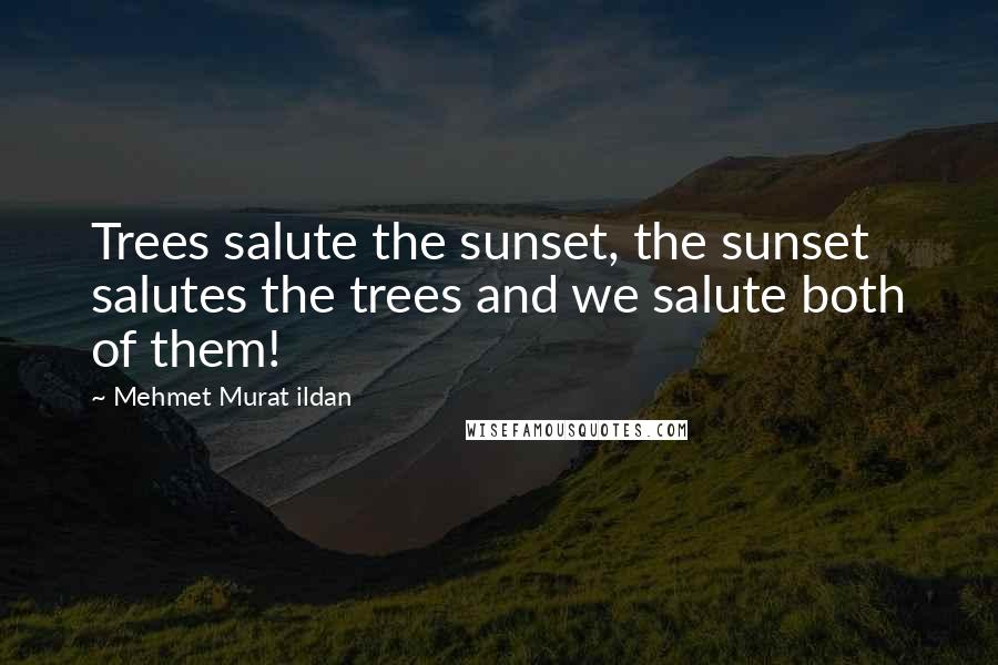 Mehmet Murat Ildan Quotes: Trees salute the sunset, the sunset salutes the trees and we salute both of them!