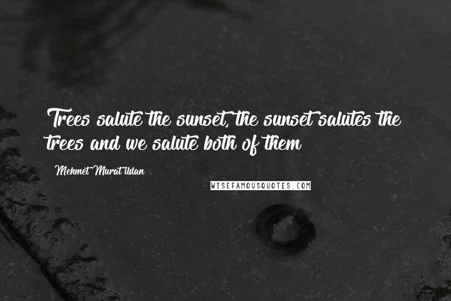 Mehmet Murat Ildan Quotes: Trees salute the sunset, the sunset salutes the trees and we salute both of them!