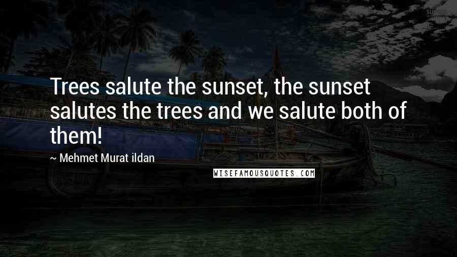 Mehmet Murat Ildan Quotes: Trees salute the sunset, the sunset salutes the trees and we salute both of them!