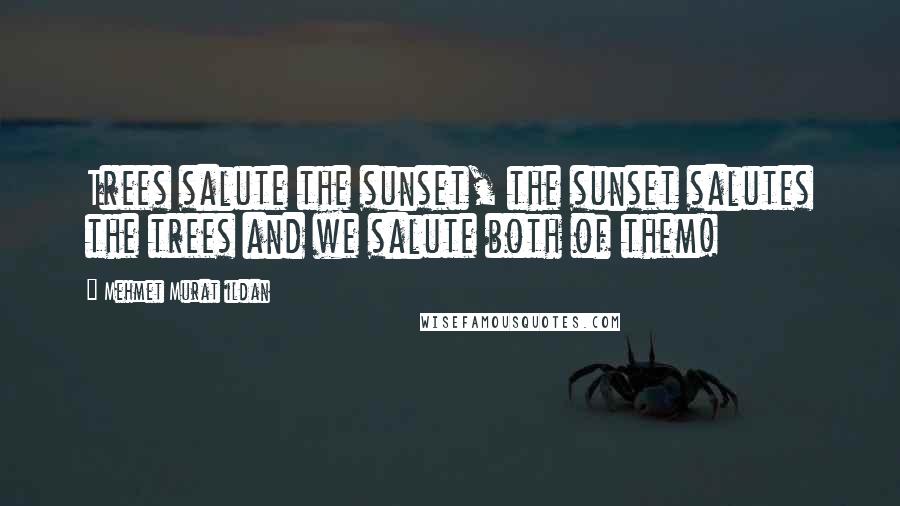 Mehmet Murat Ildan Quotes: Trees salute the sunset, the sunset salutes the trees and we salute both of them!