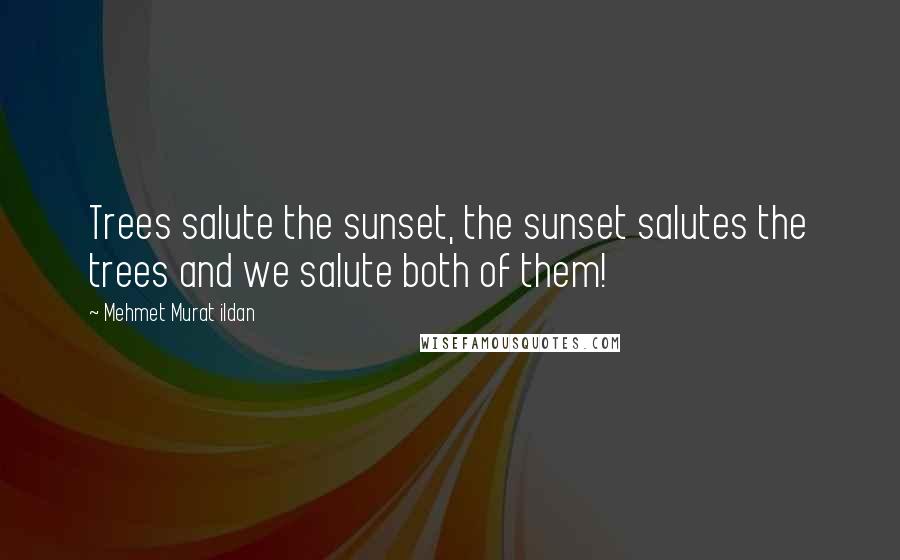 Mehmet Murat Ildan Quotes: Trees salute the sunset, the sunset salutes the trees and we salute both of them!
