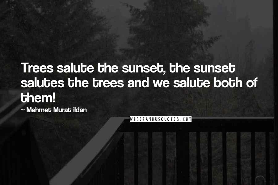 Mehmet Murat Ildan Quotes: Trees salute the sunset, the sunset salutes the trees and we salute both of them!