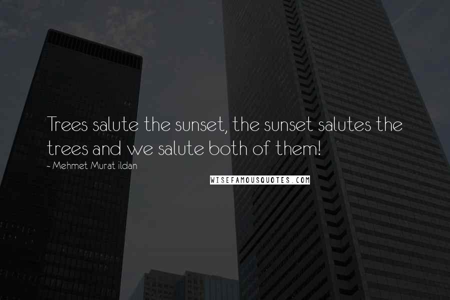 Mehmet Murat Ildan Quotes: Trees salute the sunset, the sunset salutes the trees and we salute both of them!