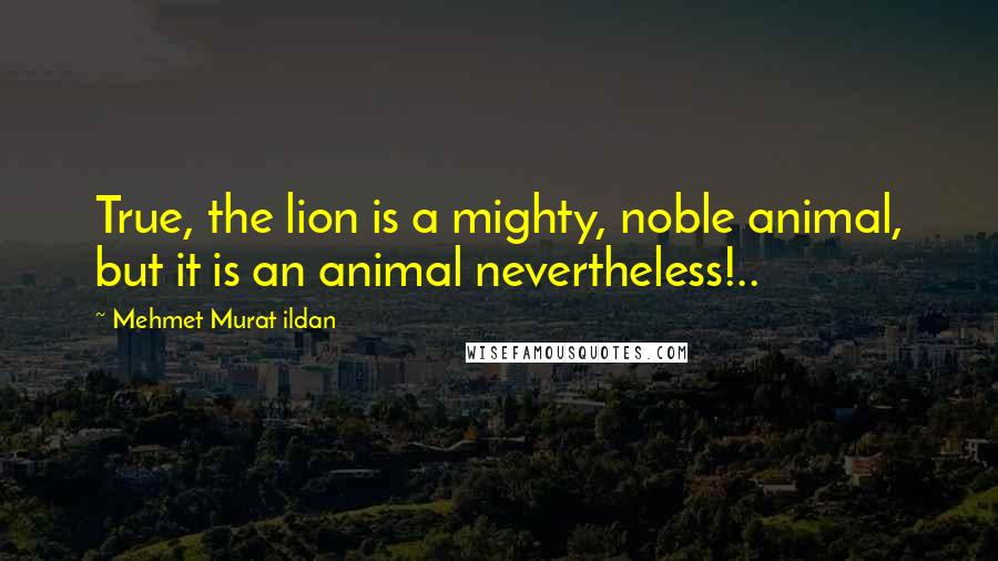 Mehmet Murat Ildan Quotes: True, the lion is a mighty, noble animal, but it is an animal nevertheless!..