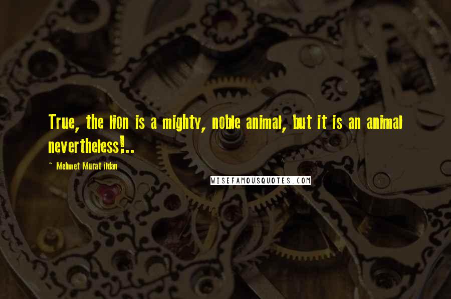 Mehmet Murat Ildan Quotes: True, the lion is a mighty, noble animal, but it is an animal nevertheless!..