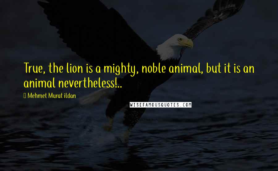 Mehmet Murat Ildan Quotes: True, the lion is a mighty, noble animal, but it is an animal nevertheless!..