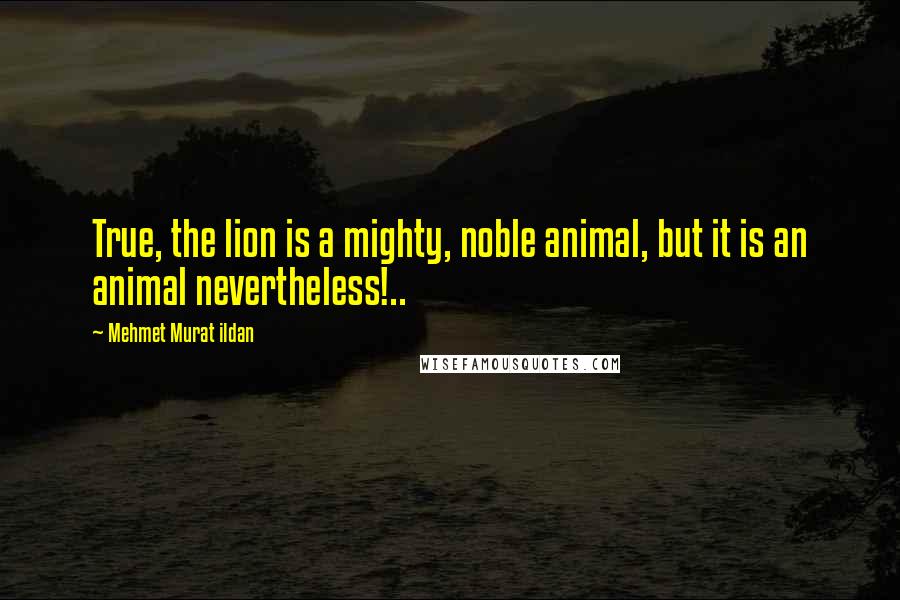 Mehmet Murat Ildan Quotes: True, the lion is a mighty, noble animal, but it is an animal nevertheless!..
