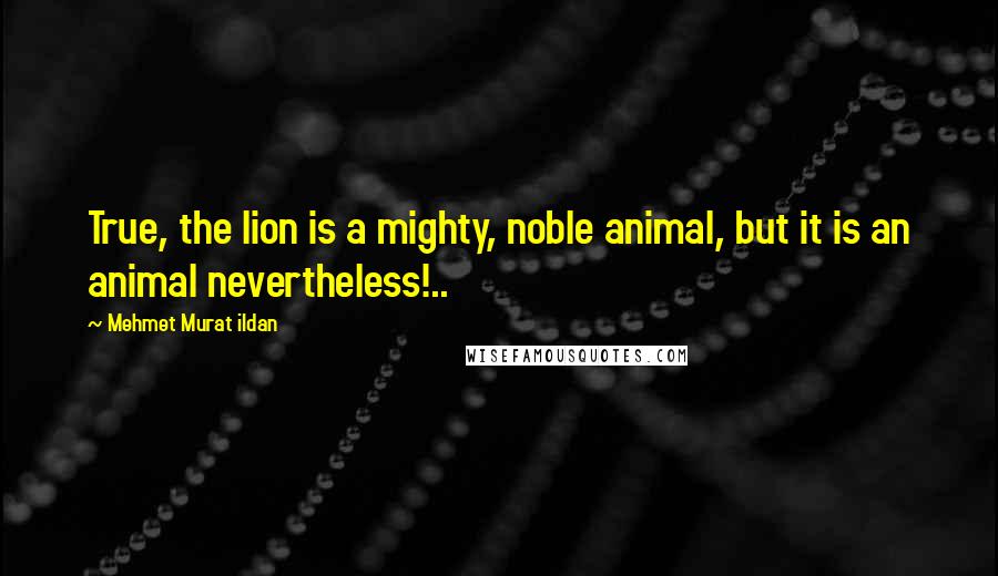 Mehmet Murat Ildan Quotes: True, the lion is a mighty, noble animal, but it is an animal nevertheless!..