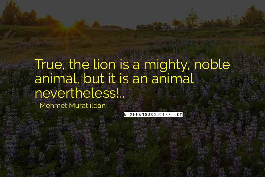 Mehmet Murat Ildan Quotes: True, the lion is a mighty, noble animal, but it is an animal nevertheless!..