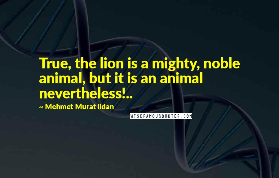 Mehmet Murat Ildan Quotes: True, the lion is a mighty, noble animal, but it is an animal nevertheless!..