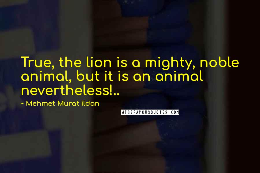 Mehmet Murat Ildan Quotes: True, the lion is a mighty, noble animal, but it is an animal nevertheless!..
