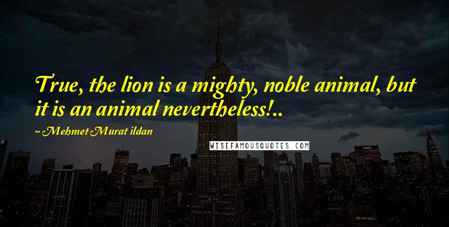 Mehmet Murat Ildan Quotes: True, the lion is a mighty, noble animal, but it is an animal nevertheless!..