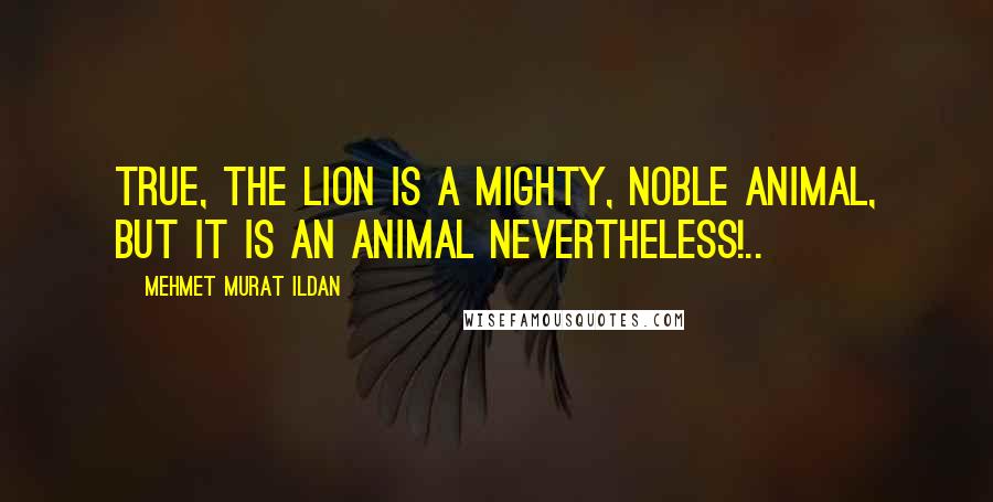 Mehmet Murat Ildan Quotes: True, the lion is a mighty, noble animal, but it is an animal nevertheless!..