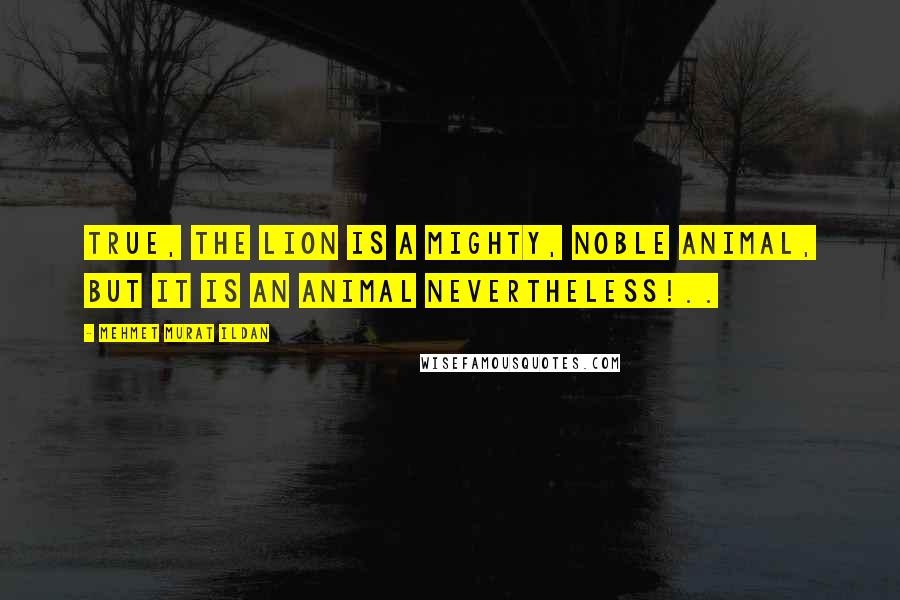 Mehmet Murat Ildan Quotes: True, the lion is a mighty, noble animal, but it is an animal nevertheless!..