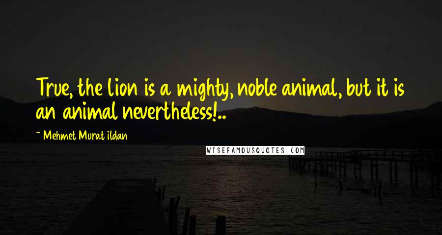Mehmet Murat Ildan Quotes: True, the lion is a mighty, noble animal, but it is an animal nevertheless!..