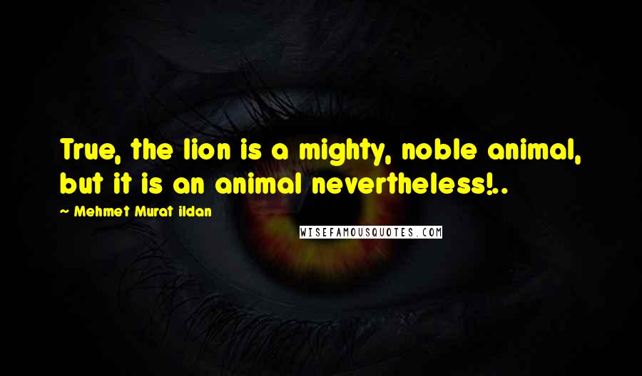Mehmet Murat Ildan Quotes: True, the lion is a mighty, noble animal, but it is an animal nevertheless!..