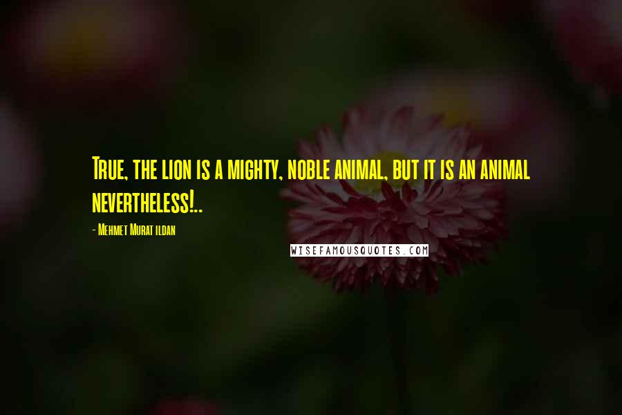 Mehmet Murat Ildan Quotes: True, the lion is a mighty, noble animal, but it is an animal nevertheless!..