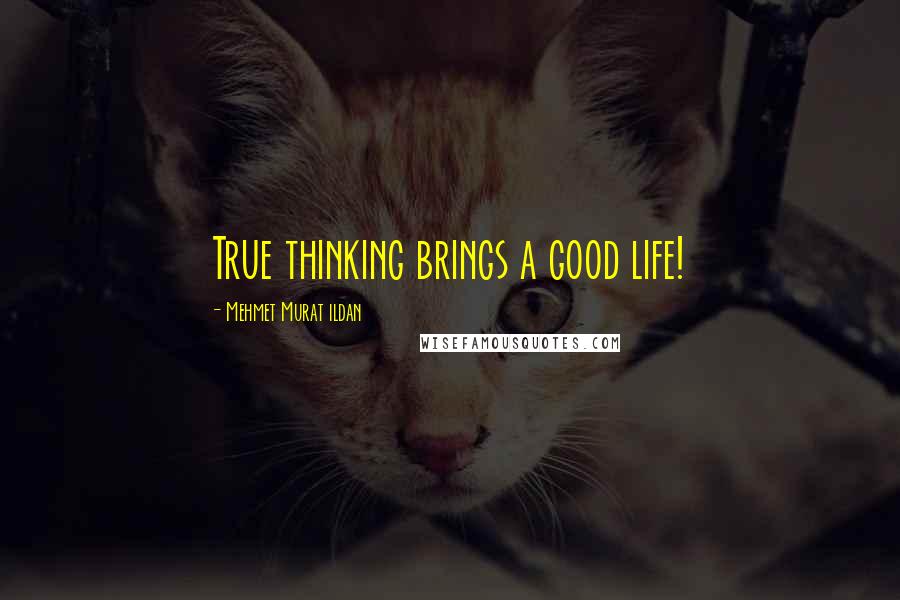 Mehmet Murat Ildan Quotes: True thinking brings a good life!