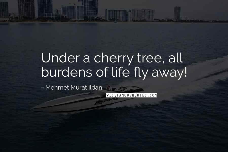 Mehmet Murat Ildan Quotes: Under a cherry tree, all burdens of life fly away!