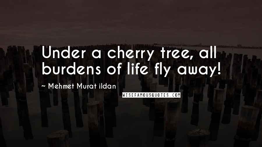 Mehmet Murat Ildan Quotes: Under a cherry tree, all burdens of life fly away!