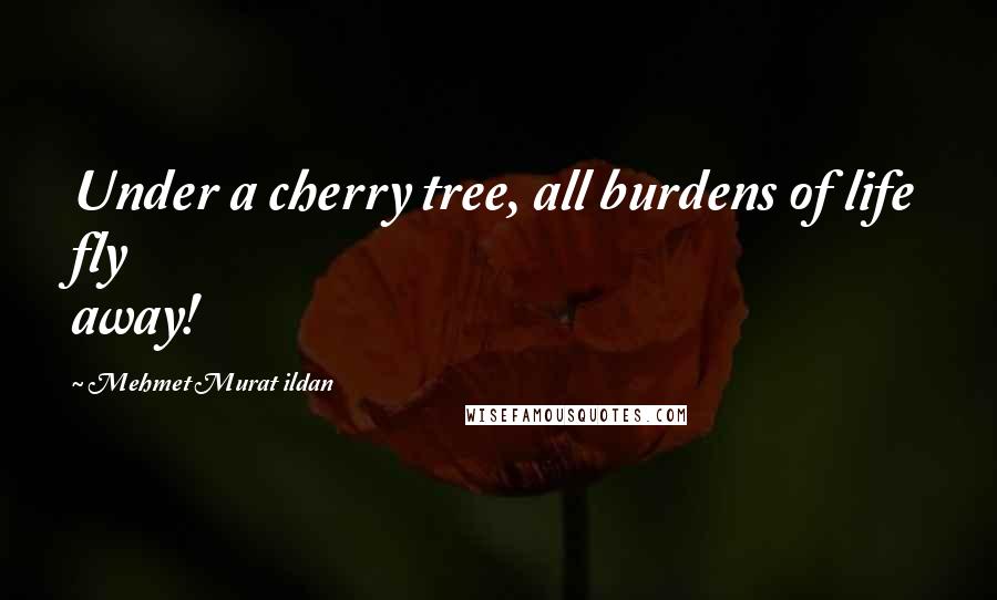 Mehmet Murat Ildan Quotes: Under a cherry tree, all burdens of life fly away!