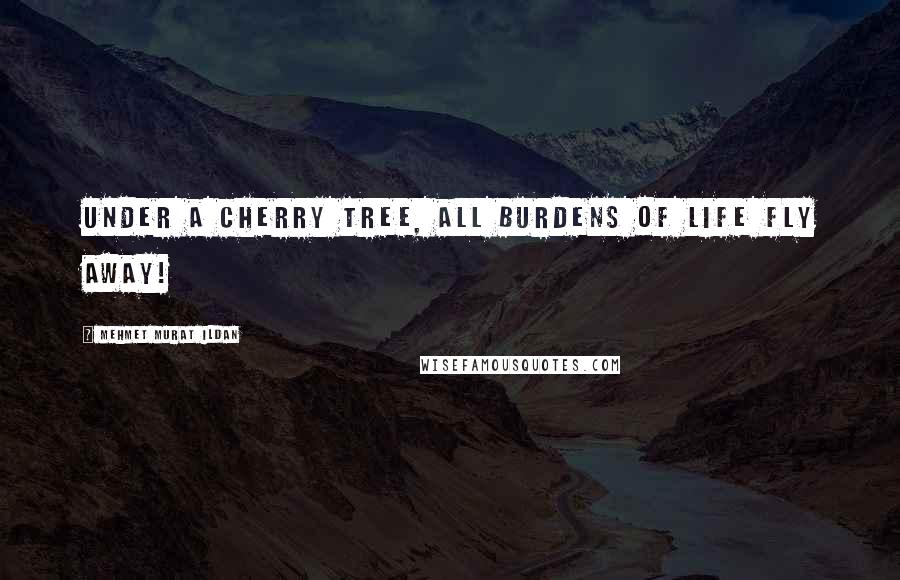 Mehmet Murat Ildan Quotes: Under a cherry tree, all burdens of life fly away!