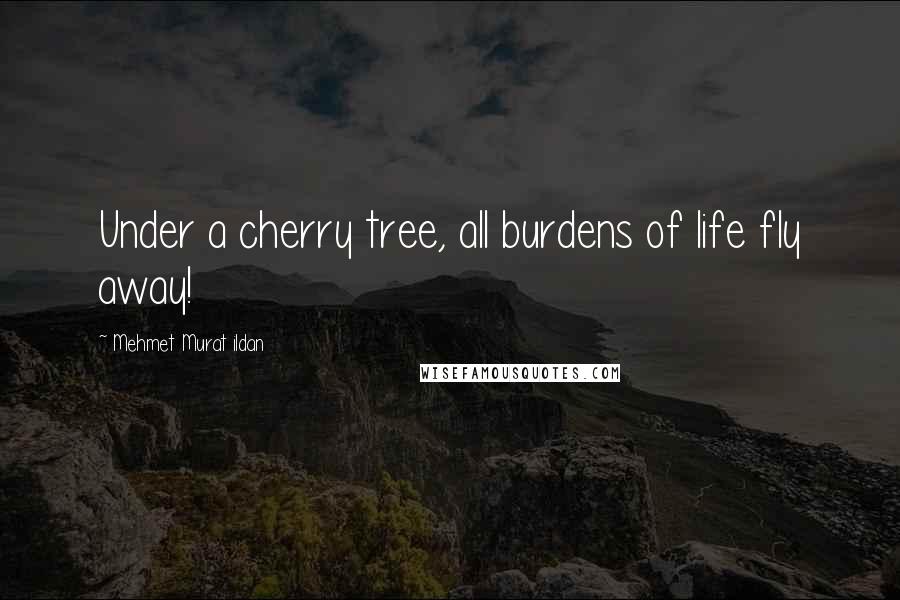 Mehmet Murat Ildan Quotes: Under a cherry tree, all burdens of life fly away!