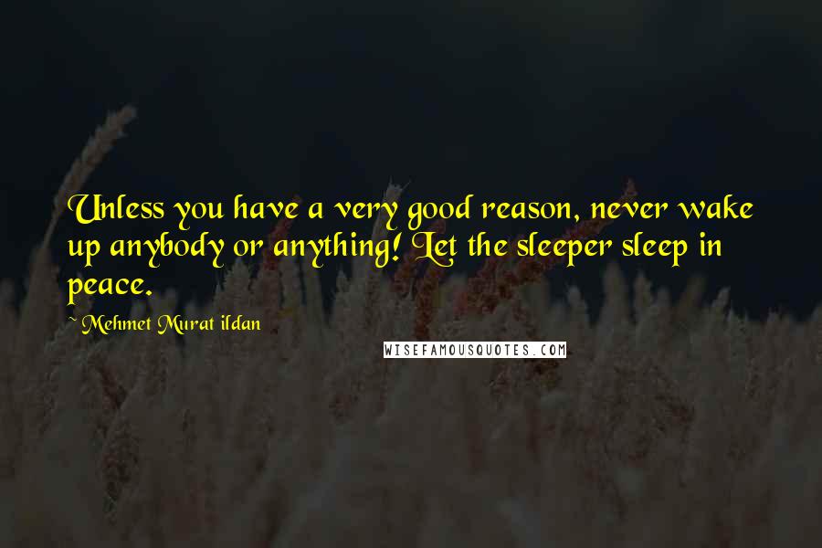 Mehmet Murat Ildan Quotes: Unless you have a very good reason, never wake up anybody or anything! Let the sleeper sleep in peace.