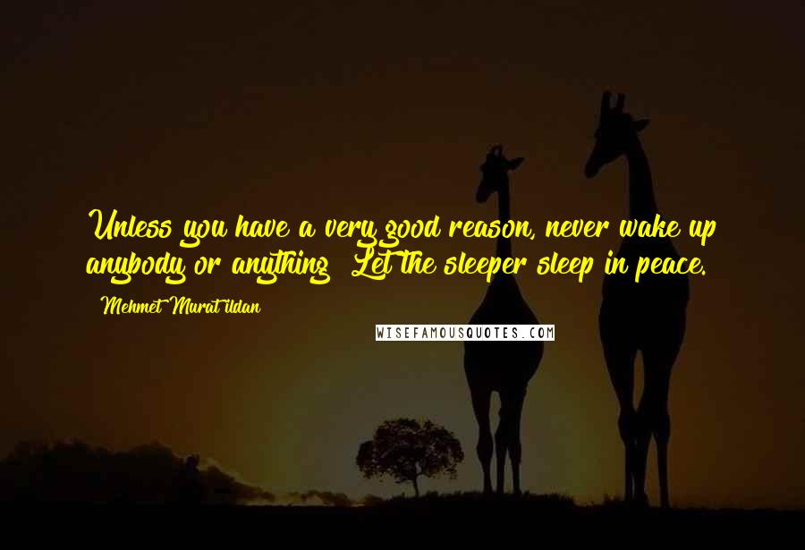 Mehmet Murat Ildan Quotes: Unless you have a very good reason, never wake up anybody or anything! Let the sleeper sleep in peace.